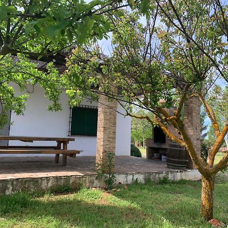 Gran Casa, Lagunas De Ruidera, Bbq, Porche, Chimenea Экстерьер фото